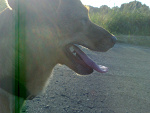 Fotoblog pamelqa