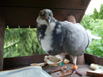 Fotoblog elwirc33