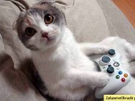 Fotoblog trooollllllolololol