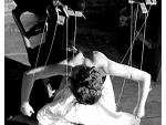 Fotoblog areyoufuckingtothepa