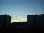 Fotoblog emisiek98
