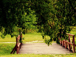 Fotoblog niiuchu