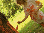 Fotoblog nika1254