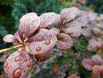 Fotoblog wck2