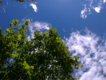 Fotoblog hugeperson