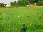 Fotoblog idalia12