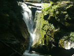 Fotoblog kiciowykotek