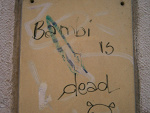 Fotoblog divinatio