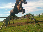 Fotoblog mikunia1209