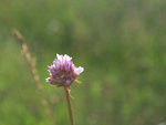 Fotoblog lovesorcrying
