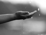 Fotoblog excerptionn