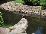 Fotoblog wsiur