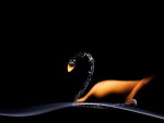 Fotoblog sweetgirl966