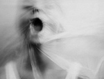 Fotoblog exposedproject