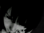 Fotoblog evennowicanseeyou