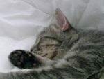 Fotoblog julia957