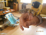 Fotoblog 23bartek96