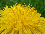 Fotoblog ttajemnicza