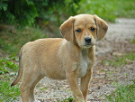 Fotoblog fredzia0328