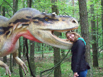 Fotoblog brutus3003