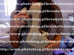 Fotoblog brookellereneex