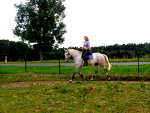 Fotoblog regression