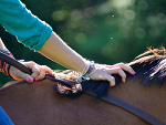 Fotoblog konisiowa7