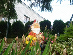 Fotoblog iwcia1579