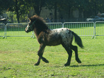 Fotoblog sprzeeedamm