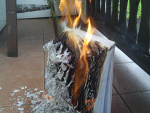 Fotoblog disturbia24