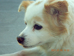 Fotoblog lovexoxoxo