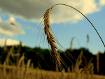 Fotoblog mypasionforphotography