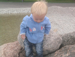 Fotoblog krolewienka