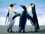 Fotoblog tomek123450