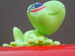 Fotoblog shopy