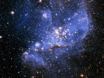 Fotoblog annfly
