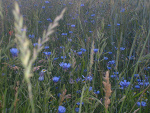 Fotoblog wariatka666rf