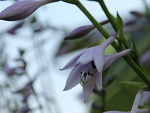 Fotoblog photography5