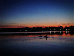 Fotoblog cytruskowo