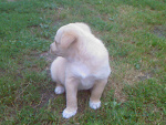 Fotoblog kimchcialbysbyc