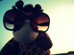 Fotoblog fridafsj