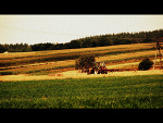 Fotoblog nemo595