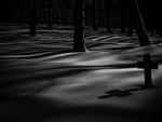 Fotoblog kamilkaax12