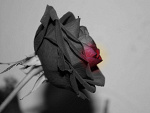 Fotoblog angelonacid