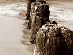 Fotoblog mylucky6