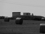 Fotoblog goodzila