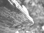 Fotoblog logoutoflife