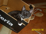 Fotoblog xxxktosxxx