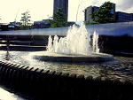 Fotoblog sunshine114