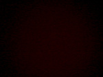 Fotoblog bartek777